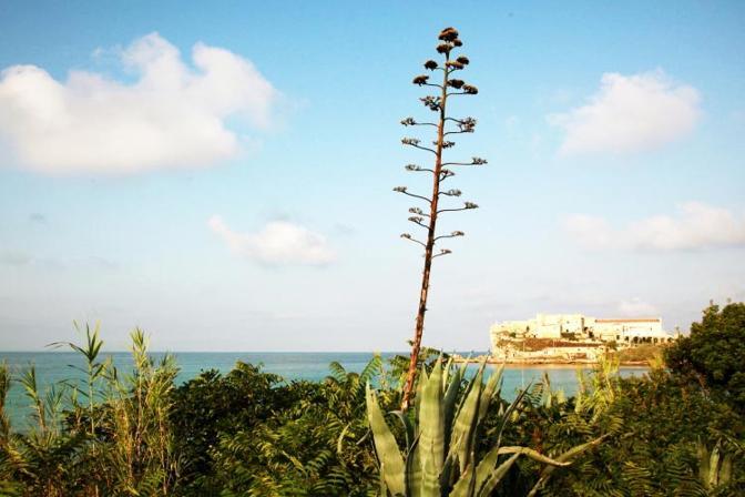 Pianosa - foto di Biancamaria Monticelli